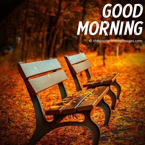 Beautiful Good Morning Fall Images Pictures And Photos 2023