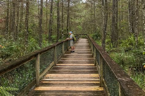 6 Fun And Easy Hiking And Walking Trails Naples Fl — Naples Florida