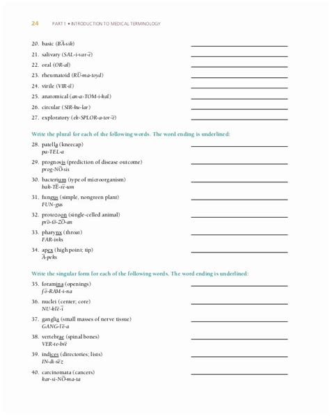 50 Medical Terminology Prefixes Worksheet