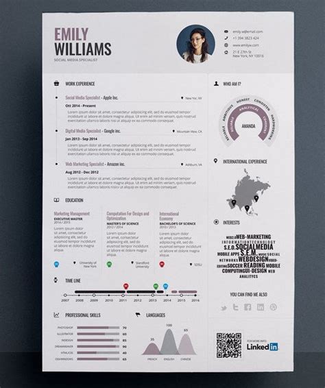 Best Infographic Resume Template