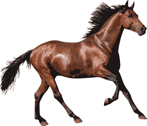 Foalmarehorse Transparent Horse Png Clipart Full Size Clipart