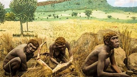 A Timeline Of Early Hominids