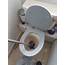 This Poor Squirrel Had To Be Rescued After Getting Stuck In The Toilet 