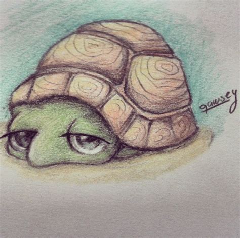Cute Turtle Drawing By Qawsey Turtles Pinterest Turtles Drawings And Cute Turtles