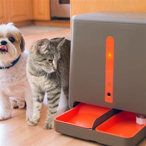 Stream Arf Pets Automatic Pet Feeder Review By Tech Review Listen