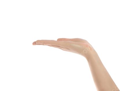Human Hand Isolated Isolated Gesture White Png Transparent Image And