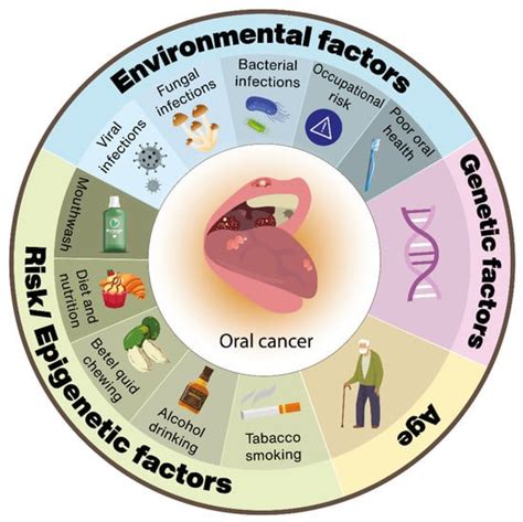 Genes Free Full Text The World Of Oral Cancer And Its Risk Factors