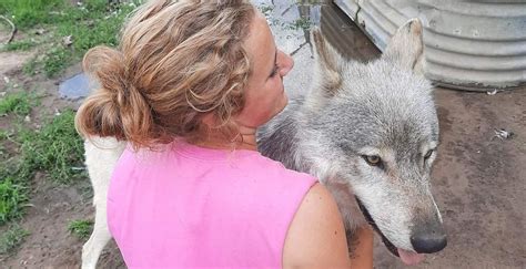 Feds Cite Wildlife Science Center For Three Wolves That Escaped And Died
