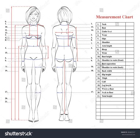 Woman Body Measurement Chart Scheme For Royalty Free Stock Vector