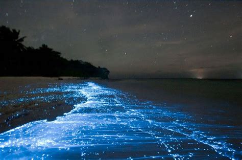 Blaue Strände Warum Das Meer Mancherorts Leuchtet Most Romantic