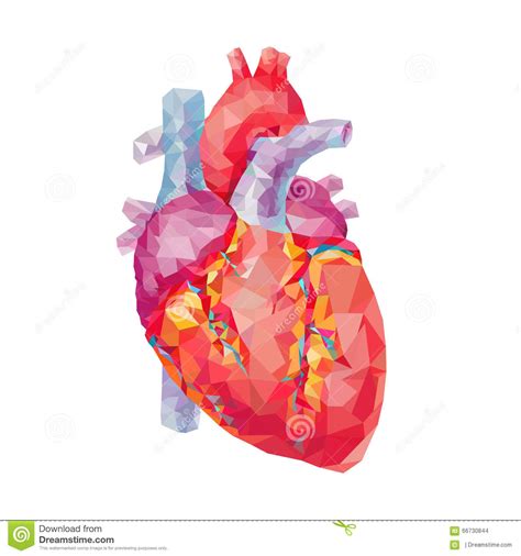 Human Heart Polygonal Graphics Vector Illustration Stock