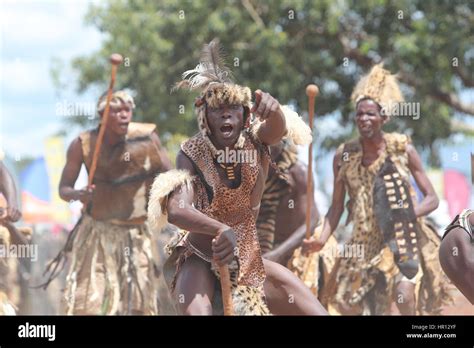 Chipata Zambia 25th Feb 2017 Ngoni People Dance During The Ncwala