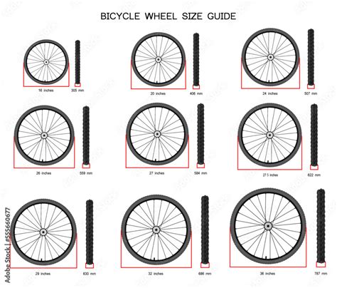 Bicycle Wheel Sizes Guide Vector Illustration Stock Vector Adobe Stock