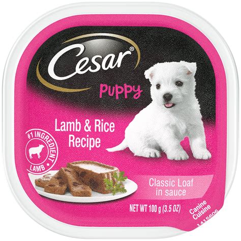 Cesar Puppy Wet Dog Food Classic Loaf In Sauce Lamb And Rice Recipe 3