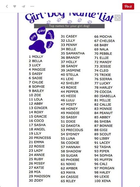 Pin By Lisa Heath On Doggy Doodles For My Poodles Girl Dog Names