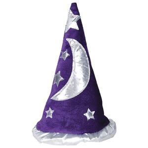 Magician WIZARD HAT Magic Trick Costume Merlin Cap Harry Potter Star Moon PURPLE EBay