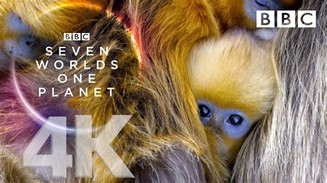 And be awestruck by spectacular wildlife. Seven Worlds, One Planet: Extended Trailer (ft Sia and ...