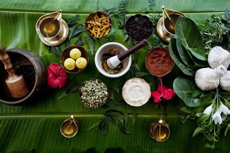 Amazing Ayurvedic Herbs And Their Astounding Effects Blog Indus