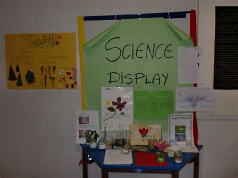 Science History And Geography Year 5 And 6 Science Display