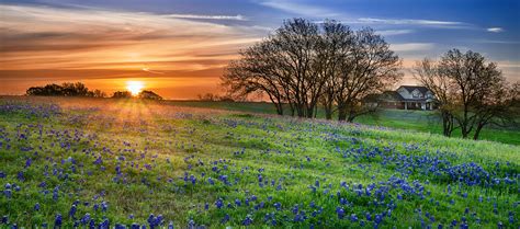 Good Morning Texas Newsletter Texas Is Life
