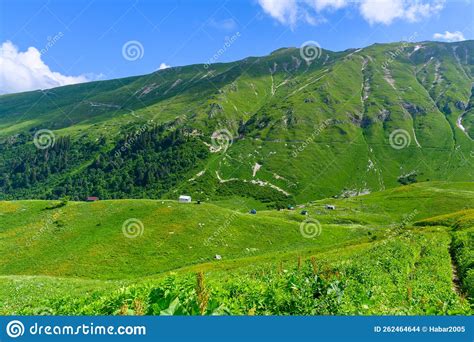 The Snow Capped Mountain Peaks In The Tropical Forest Stock Photo