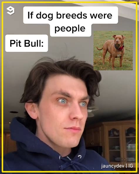 If Dog Breeds Were People By Jauncydev Ig If Dog Breeds Were People