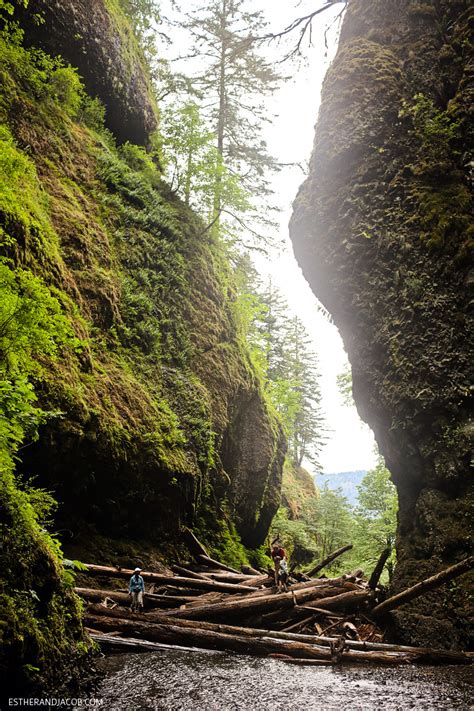 The Oneonta Gorge Hike To Lower Oneonta Falls Local Adventurer