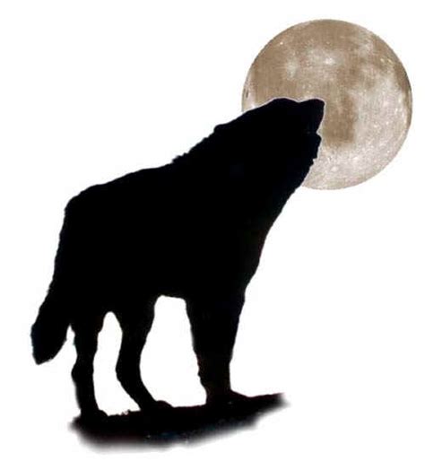 Howling Wolf Silhouette Clipart Best