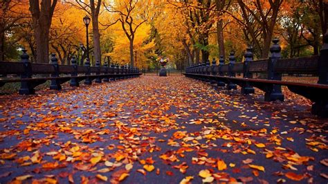 Download Pinterest Autumn Wallpaper