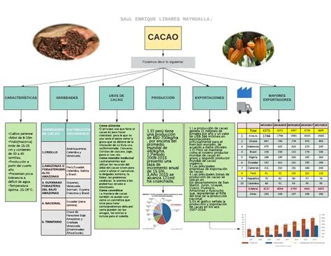 Cacao Mapa Conceptual PDF Industria Del Chocolate Theobroma