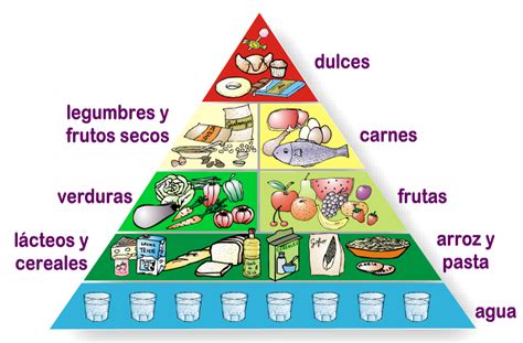 PIRÁMIDE ALIMENTICIA Alimentación