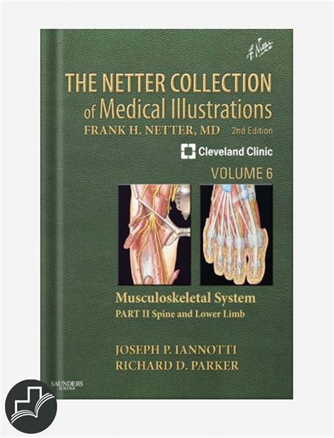 The Netter Collection Of Medical Illustrations Musculoskeletal System