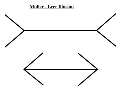 Muller Lyer Illusion Is Muller Lyer Illusion Illusions Mind Benders