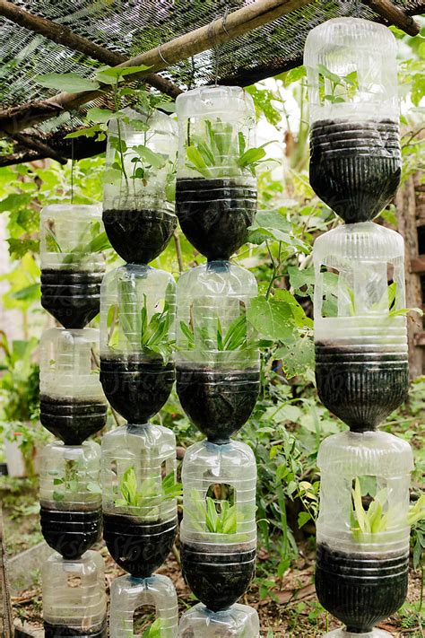Plastic Bottle Garden Plants 13 Plastic Bottle Vertical Garden Ideas