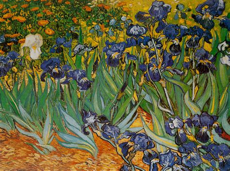 Stampa Vincent Van Gogh Le Iris
