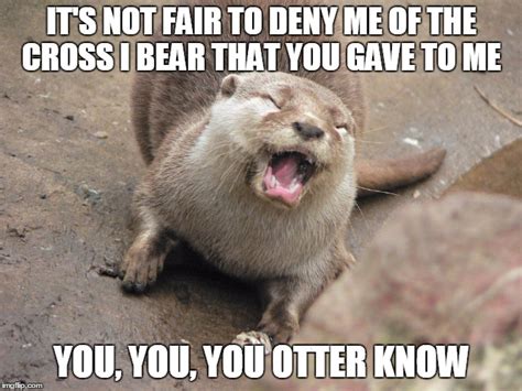 Image Tagged In Angry Otter Imgflip