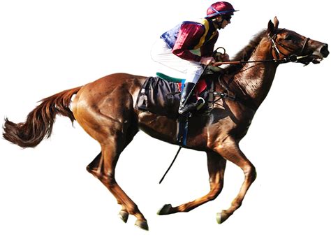 Horse Racing Png Hd Isolated Png Mart