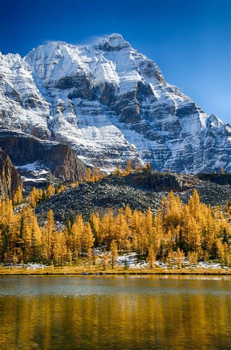 Fall Colors At Lake O Hara 500px By Priya And Archie Photography In