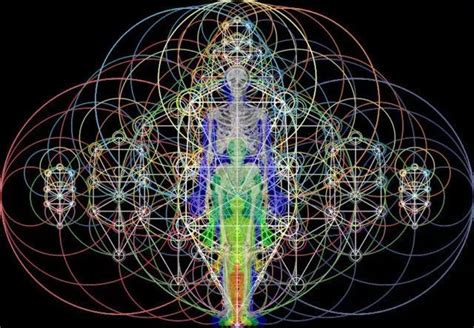 The Evolution Of Consciousness How Are You Experiencing The Higher