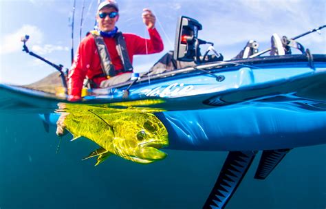 We each ordered the 2 taco combo, fried for me and grilled for her as she.is gf. Fishing Packages in Loreto Baja Mexico | Hotel Santa Fe Loreto
