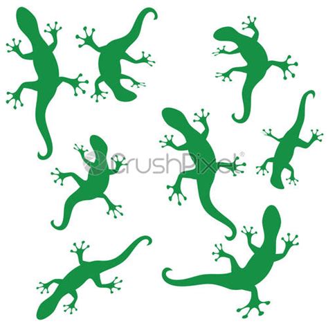 Silhouettes Of Salamander Stock Vector Crushpixel