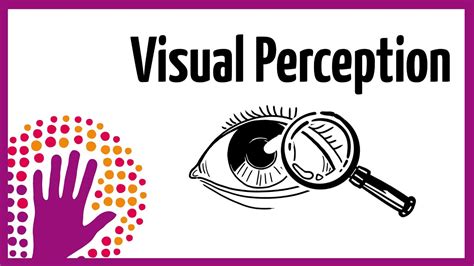 Visual Perception How It Works Youtube