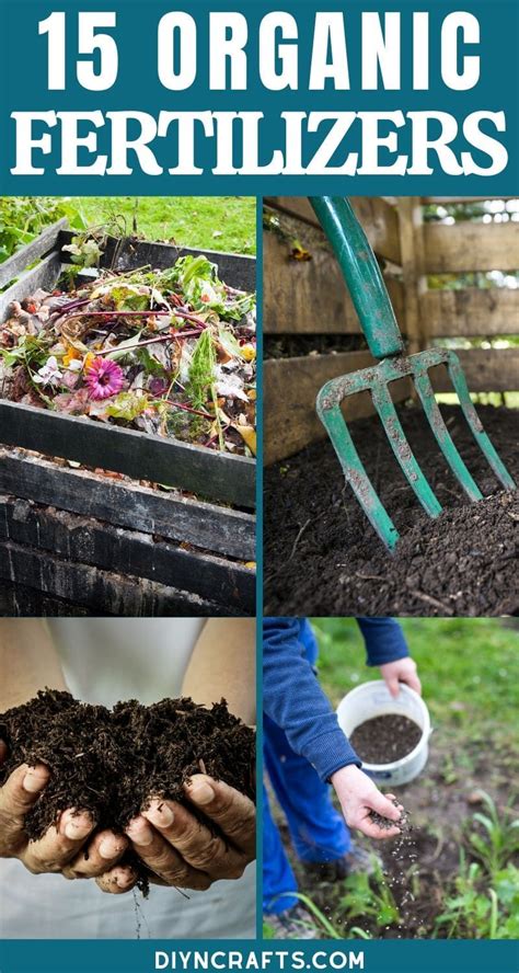 15 Diy Organic Fertilizer Recipes For Your Garden Natural Plant