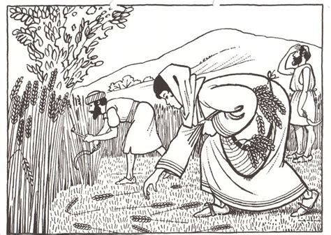 This line art illustration shows the young woman working in the fields. Bible coloring pages, Ruth bible, Bible story crafts
