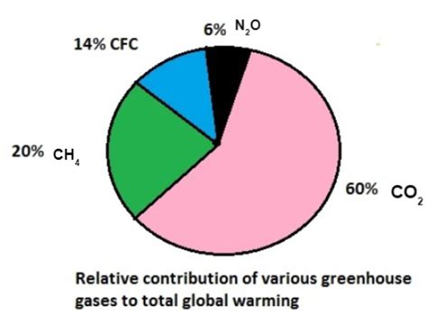 How Many Of The Following Are The Greenhouse Gases Co2 Ch4 N2o