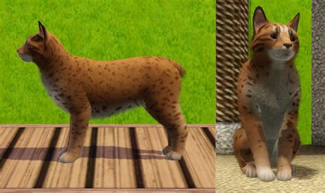 Mod The Sims Lynx The Three Most Famous