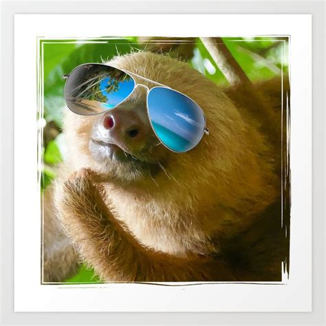 Sloth With Sunglasses Chillin Art Print By Erinmorris Society6