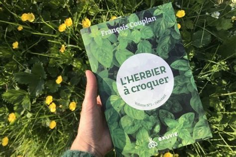 L Herbier Croquer Plantes Sauvages Comestibles D Guster Sans Se