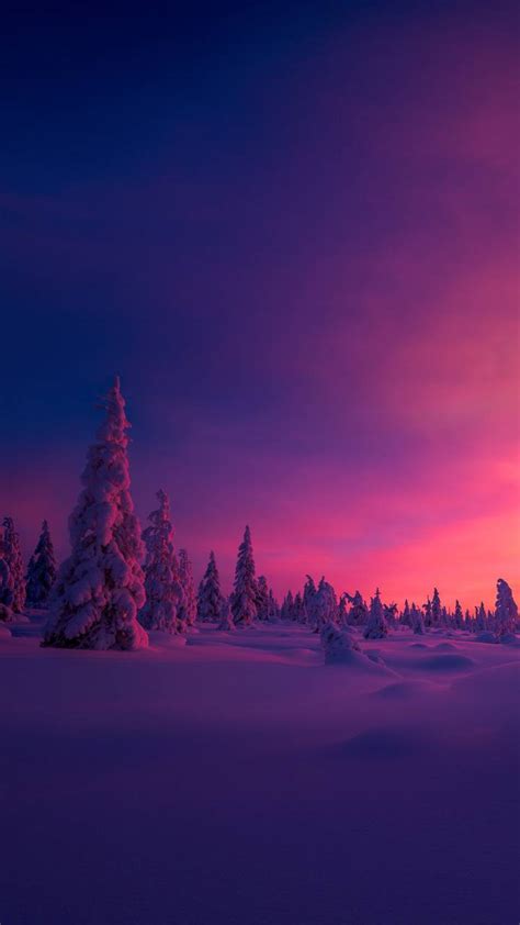Winter Sunset Wallpaper By Karma 59 Free On Zedge