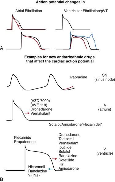 New Antiarrhythmic Drugs And New Concepts For Old Drugs Thoracic Key